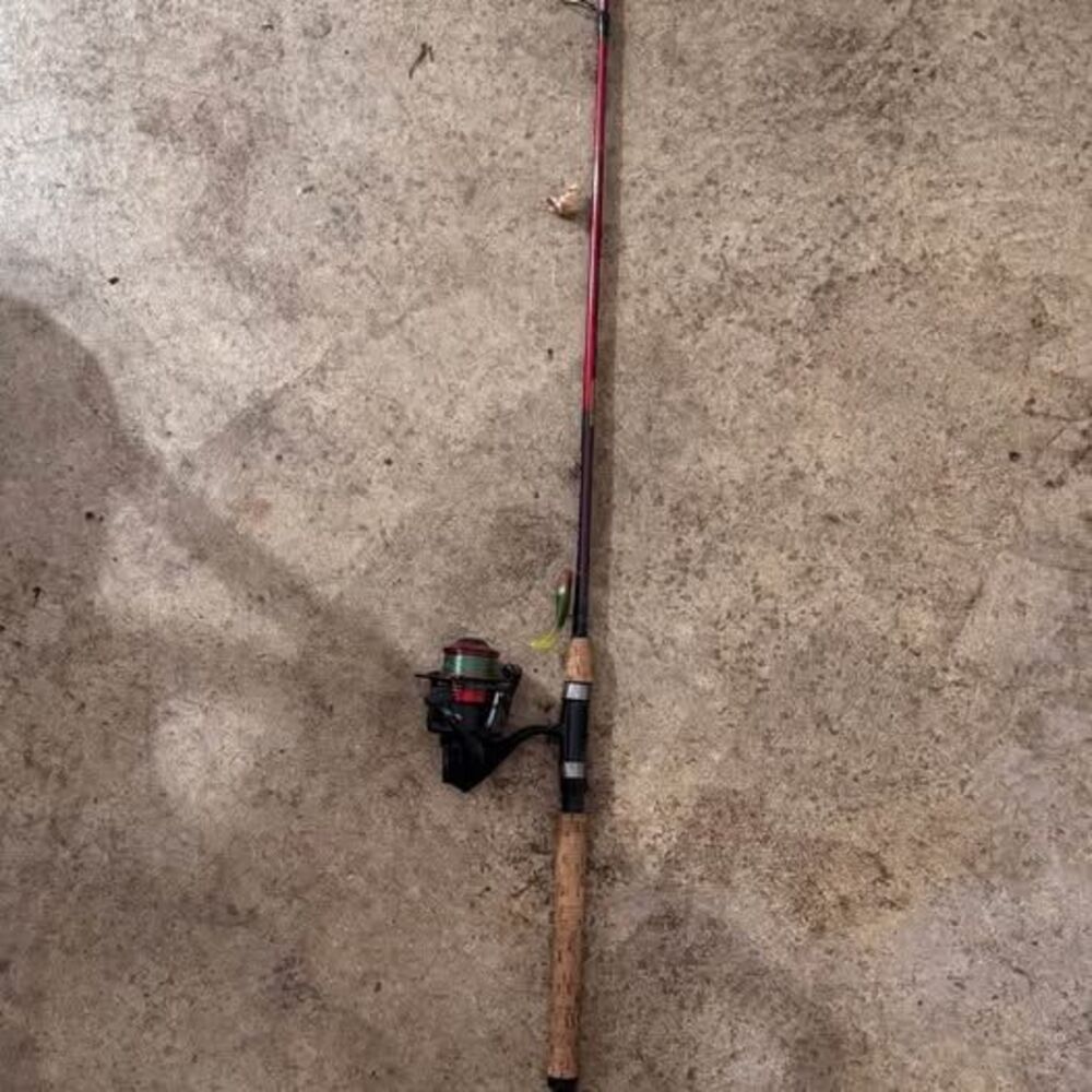 Abu Garcia pole